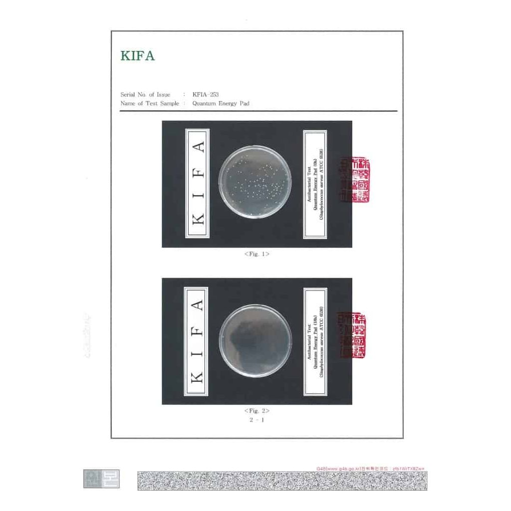 Quantum Energy Pad (King Size)