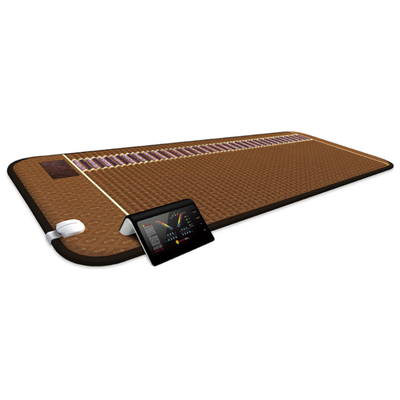 Amethyst Biomat Professional