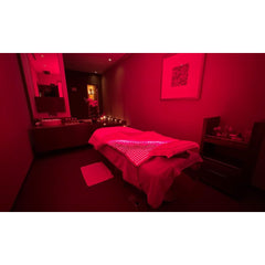 Prism Red Light Therapy Pads